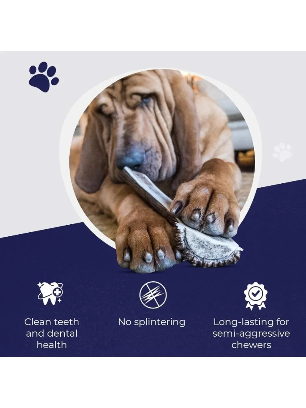 Long-Lasting Split Elk Antlers for Dogs - Small 2 Pack, Natural Chew Treats